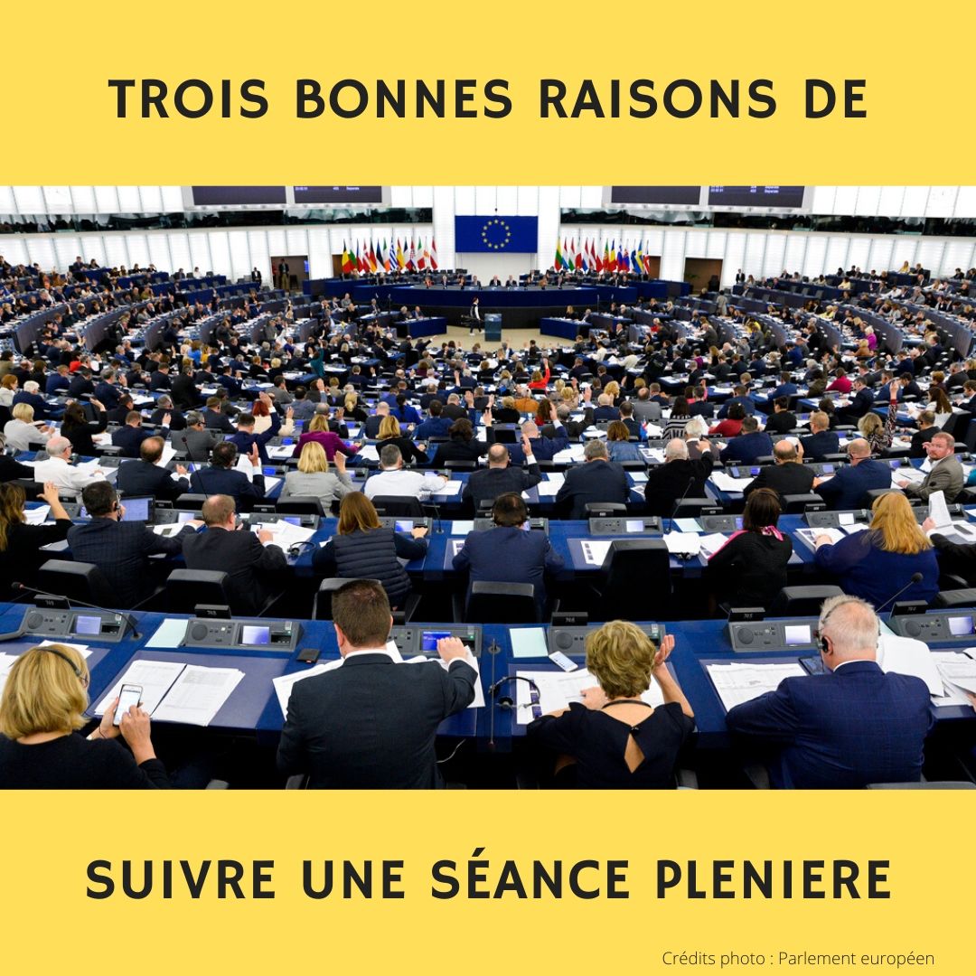 2020 02 10 TROIS BONNES RAISONS DE regarder une pleniere
