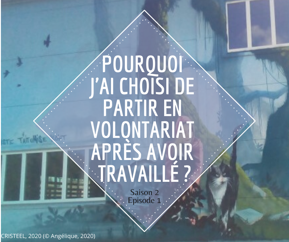 Pourquoi 3 JAI CHOISI DE Partir en volontariat après avoir Travaillé S02E01