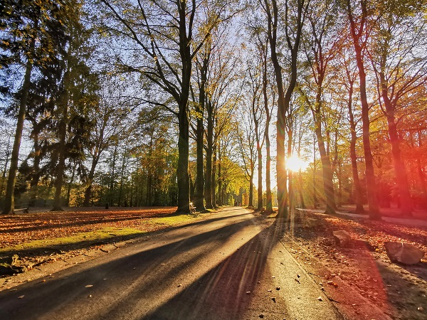 P046918 654696 Claudio Centonze UE 2020