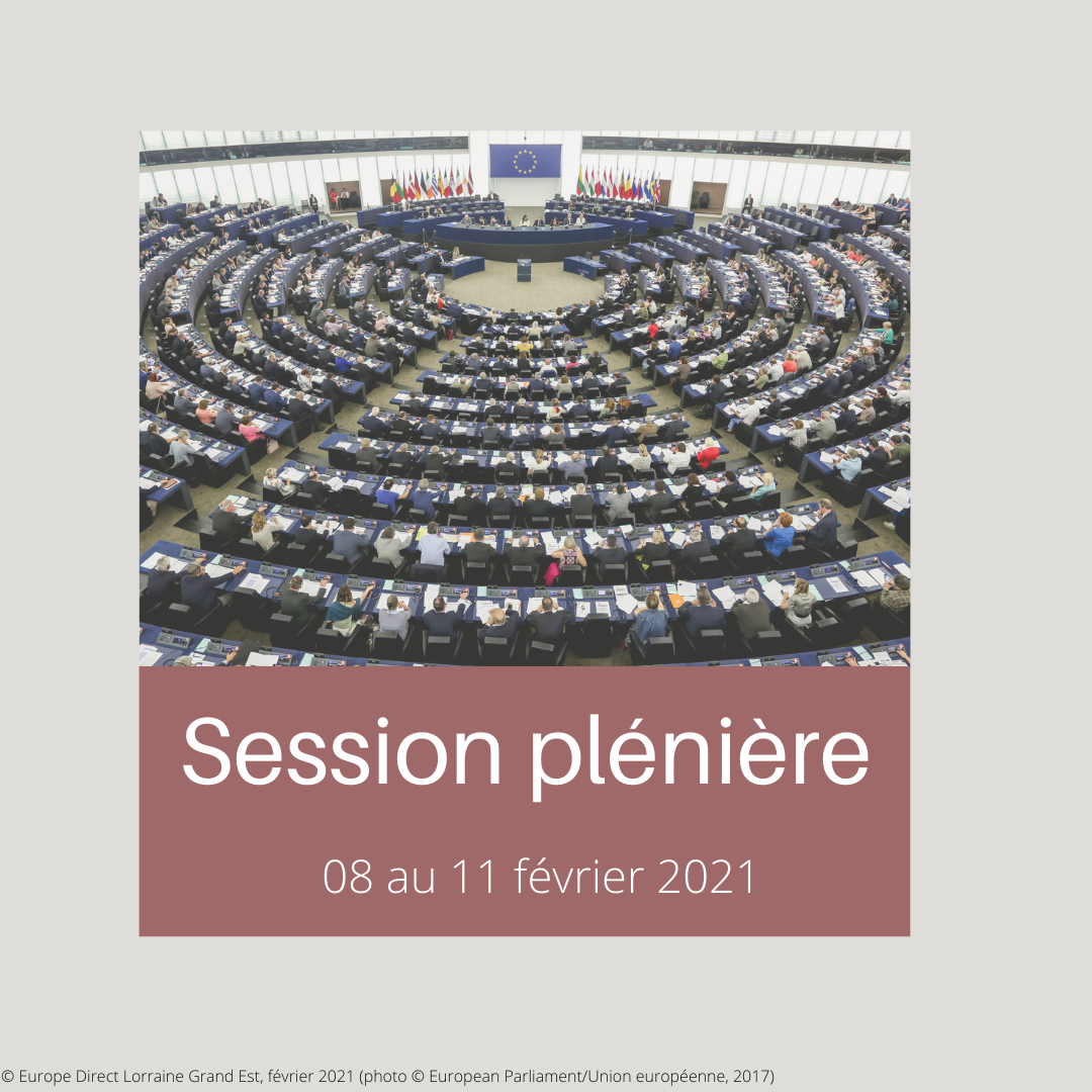 SESSION PLENIERE 2021 02