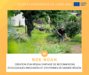 CT CRISTEEL Infographies Visuel FB 3